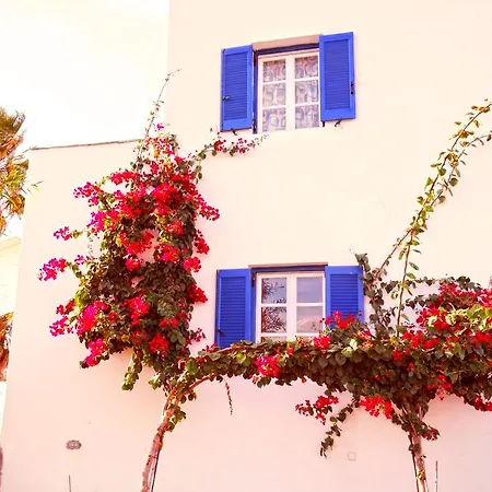 Aggelos آغيوس بروكوبيوس