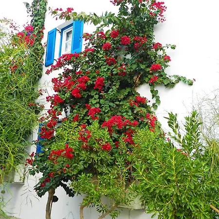 Aggelos Apartment Agios Prokopios (Naxos)