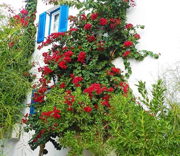 Aggelos דירה איוס פרוקופיוס